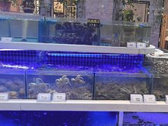 -大众海鲜(巨龙北路店)
