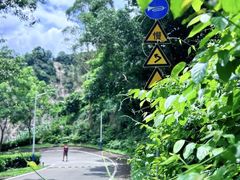 -火炉山森林公园