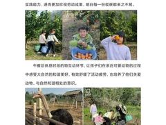 -艺年级儿童语言艺术中心(冉家坝爱融荟城店)
