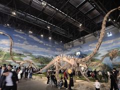 -自贡恐龙博物馆