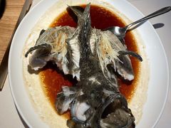 清蒸东星斑-利苑酒家(华熙国际店)
