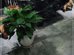 -清涟·足浴·spa·养生馆(重庆天地店)