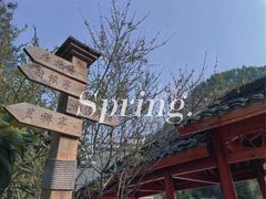 -马口生态公园