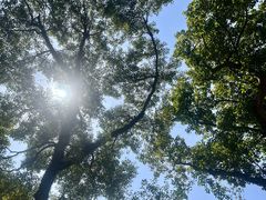 -石排湾郊野公园