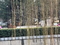 -元大都城垣遗址公园