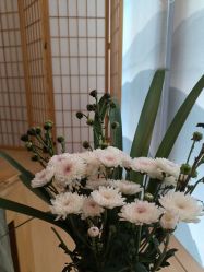 -宥莉·ULLY 痘敏肌•科技皮肤管理中心