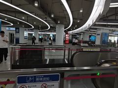 -东方体育中心(地铁站)