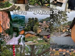 -杨家堂村