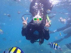 -亚龙湾海底世界