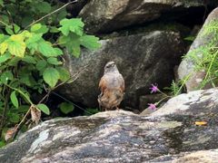 -终南山南五台景区