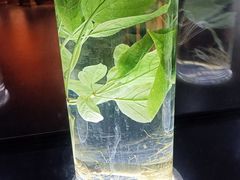 -广东中医药博物馆