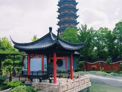 -葛仙湖公园