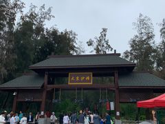 -大京沙滩