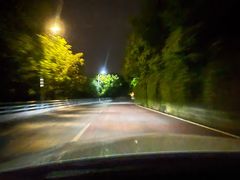 -南山植物园