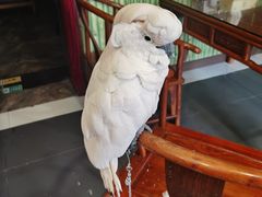 -四海楼(如皋定慧禅寺店)