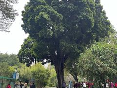 -晓港公园