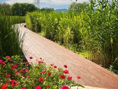 -永定河休闲森林公园