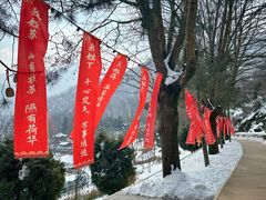 -秦岭终南山世界地质公园翠华山景区