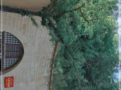 -延安杨家岭革命旧址