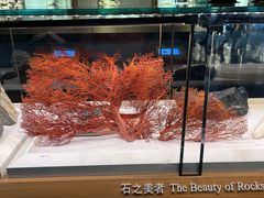 -上海自然博物馆