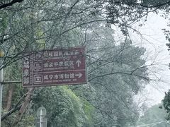 -潜山国家森林公园