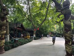 -杭州黄龙洞
