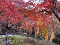 -比叡山