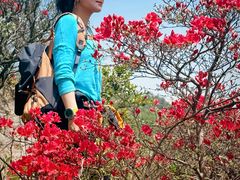 -木兰云雾山