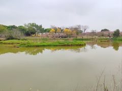 -天适樱花悠乐园