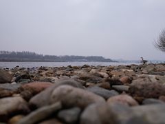 -沈阳鸟岛