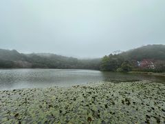 -广州市石门国家森林公园