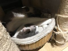-小时光咖啡馆(开森度假森林店)