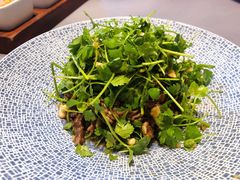-阿庄新豫菜(航海东路店)