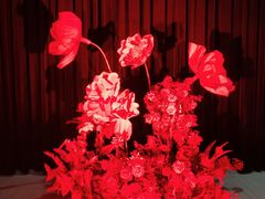 -交通银行前滩31演艺中心