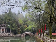 -玉苍山国家森林公园
