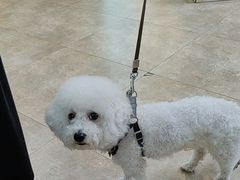 -美联众合动物医院·24h转诊中心