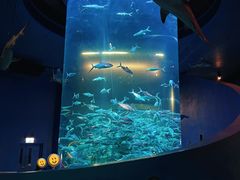 -香港海洋公园