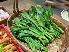 板蓝根-蘑界·野生菌火锅(深业上城店)