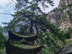 -藏山旅游风景区