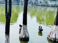 -东莞市可园博物馆