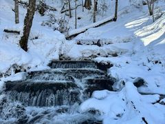-峡谷浮石林景区