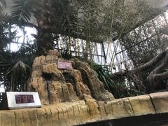 -悦隆庄温泉度假酒店