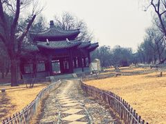 -承德避暑山庄景区