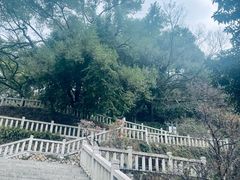 -乌山风景区