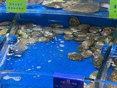-天顺渔港·海景餐厅(星海广场店)