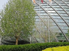 -凤凰中心