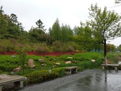 android_upload_pic-郑和公园