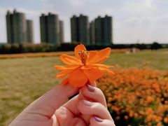 -映月湖中央公园
