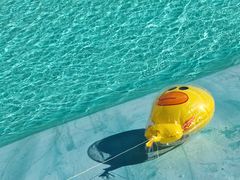 -南通洲际绿博园