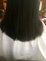 -金鹰标榜美容美发美体连锁机构